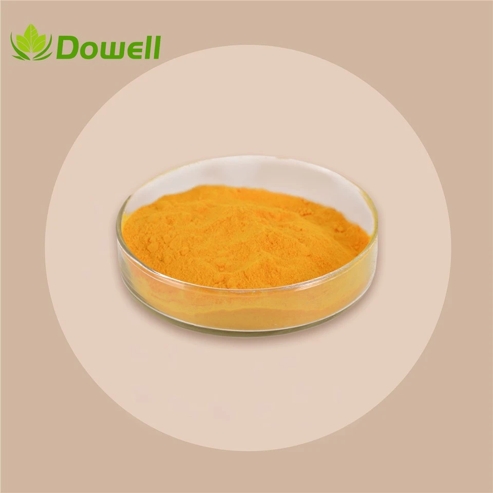 Vitamin B2 -Riboflavin B2 -vit B2 -b2 Vitamine